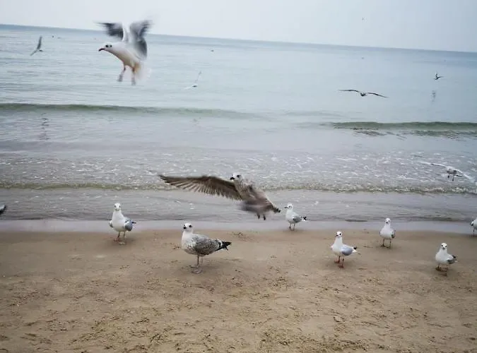 Apartament Reymonta Przy Morzu Kołobrzeg