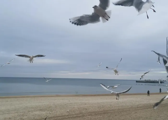 Reymonta Przy Morzu Apartament Kołobrzeg